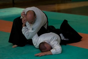 Aikido-13