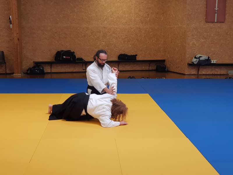 Aikido Stage Startijenn des 16 et 17 avril 2022