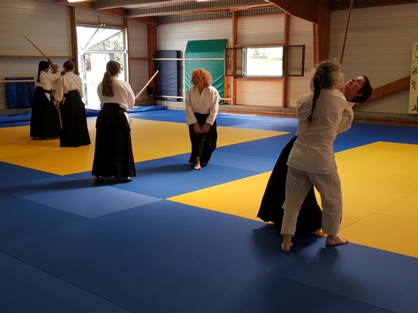 Aikido Stage Startijenn des 16 et 17 avril 2022